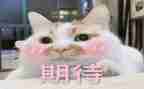 我期待的事作文6篇