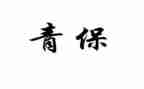 青保年终工作总结7篇