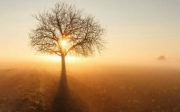 清晨优秀作文5篇