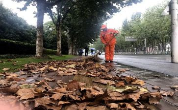 镇卫生清扫活动总结6篇
