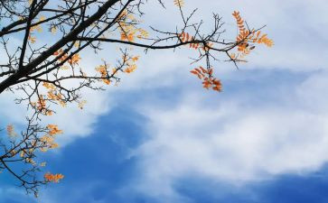 小学教师秋季学期工作计划7篇