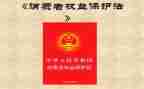 学生权益工作总结8篇