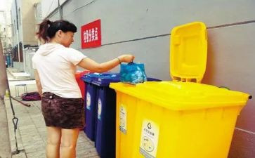 不乱扔垃圾的教案7篇