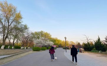 七年级《散步》教案8篇