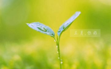 销售三月工作计划7篇