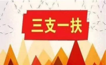 三支一扶岗前培训心得体会6篇