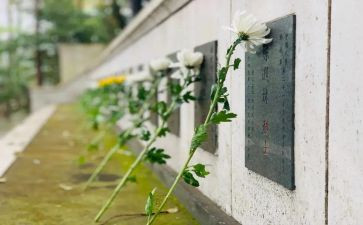 扫墓550,字作文优秀5篇