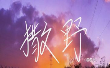 《撒野》的作文6篇