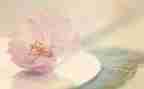 写爸爸善良的作文6篇