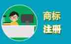 商标异议的申请书6篇