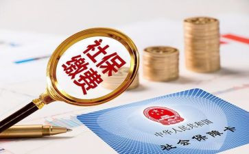社保工作个人总结6篇