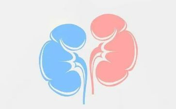 肾内科护理工作计划最新5篇
