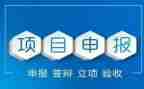 申报税工作总结6篇