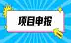申报中一教师述职报告8篇