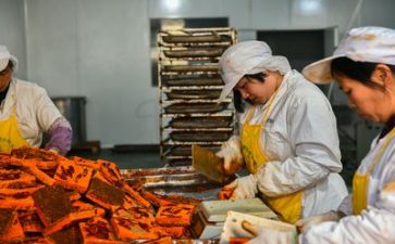 2024年安全生产月活动工作总结优秀6篇