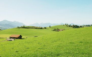 生活中需要作文600字推荐5篇