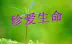 有关于生命的演讲稿400字7篇