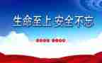 安全至上生命至上观后心得7篇