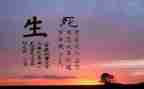 生与死演讲稿800字参考7篇
