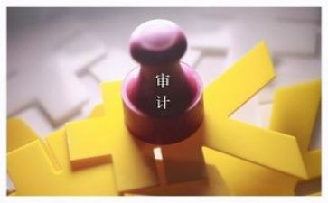 2024审计年度工作总结参考8篇