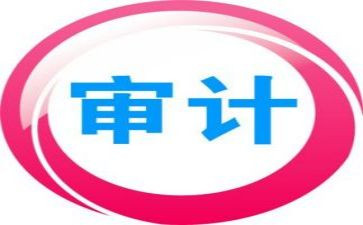 审计员的工作总结优秀5篇