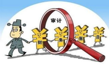 审计的述职报告优秀8篇