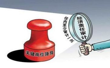 审计总结报告8篇
