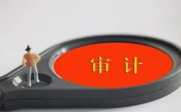 审计用述职报告通用5篇