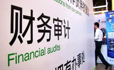 审计年度工作总结报告5篇