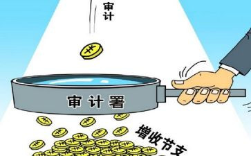 审计学习心得体会5篇