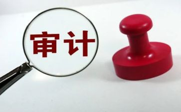 审计个人年度工作总结7篇