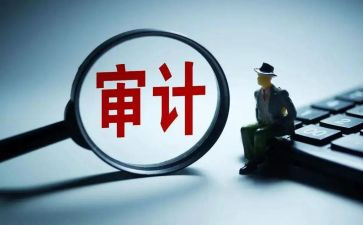 审计员的工作总结6篇