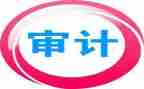 审计员的工作总结优秀5篇