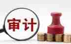 2024年审计年终工作总结推荐8篇