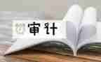 审计岗工作总结推荐6篇