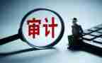 审计员的工作总结6篇
