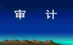 审计半年度工作总结7篇