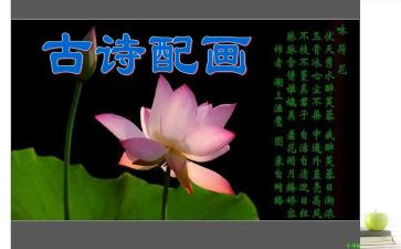 我与诗的故事400字作文5篇