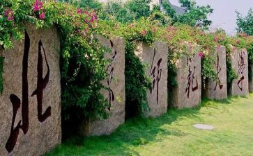 北师大版分饼教学反思7篇