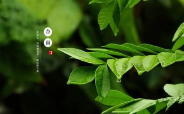 迎十四运活动方案6篇
