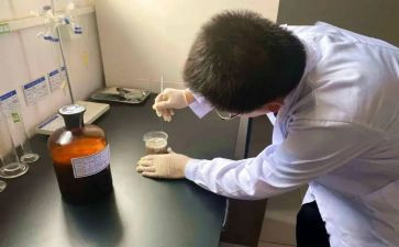 试验月工作总结7篇