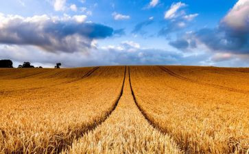 培训收获与心得体会优秀8篇