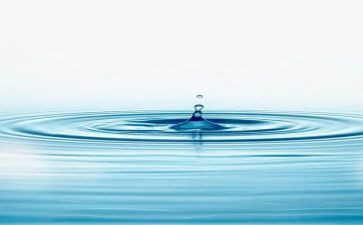 水生态工作计划8篇