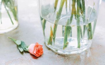 谁来了音乐游戏教案参考5篇