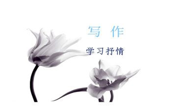 写抒情的作文优秀6篇