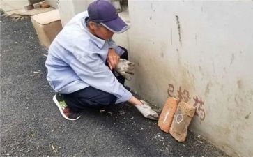 防四害工作总结8篇