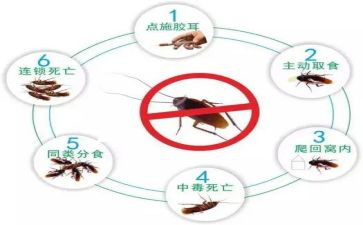 学校灭四害工作计划5篇