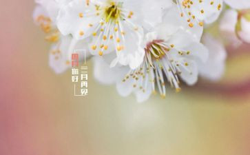 小班四月工作计划5篇