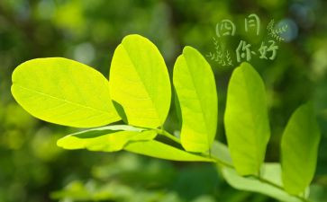 四月团工作计划最新8篇