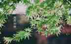 人间四月的作文优秀8篇